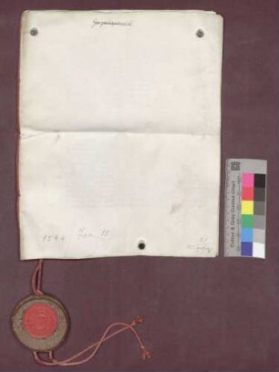 Vertrag zwischen Hans Paumgartner von Paumgarten, Herrn zu Kürnberg und Kenzingen, und der Stadt Kenzingen.