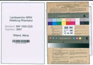 Entnazifizierung Maria Wiland , geb. 12.03.1899 (Geschaeftsinhaberin)