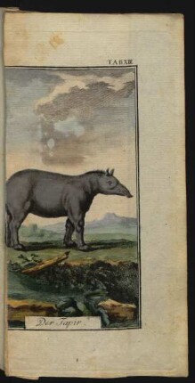 TAB. XIII. Der Tapir