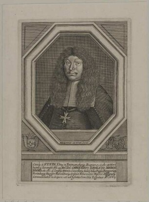 Bildnis des Carolus â Stein