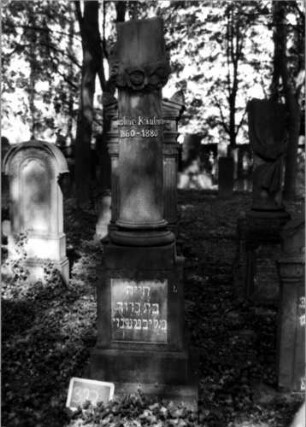 Grabstein 322 (Index: 100111974) Material: Sandstein, weiße Marmorplatte Zustand: Säule gebrochen und repariert, sonst gut Maße HxBxT: 225x46x37 cm Beschreibung: postamentierte abgebrochene Säule, rechteckige Schriftplatte Symbolik: Blüten- und Blätterkranz um Säule: Grabstein 322