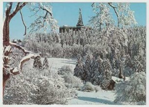 Winterlicher Habichtswald mit Herkules