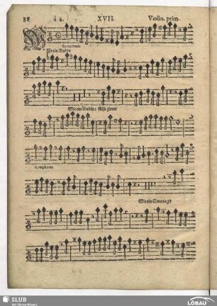 XVII. Wie ein Rubin in seinem Golde leuchtet