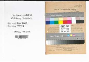 Entnazifizierung Wilhelm Wiese, geb. 17.01.1913 (Verw.Angest.)