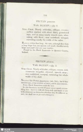 Pecten plicatus. Tab. DLXXIV.—fig. 3