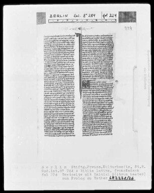 Biblia latina — Initiale L (ibrum hester), Folio 224 recto