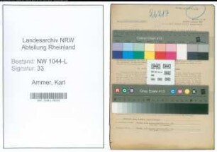 Entnazifizierung Karl Ammer , geb. 20.04.1896 (Justizangestellter)