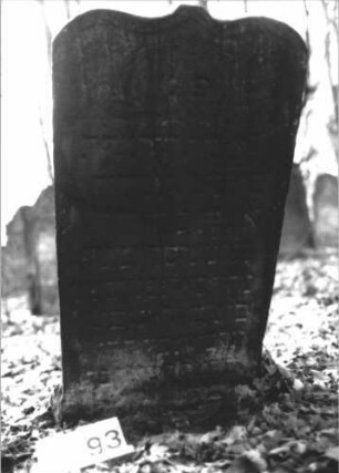 Grabstein 1193 (Index: 99899945) Material: Sandstein Zustand: stark verwittert Maße HxBxT: 110x57x10 cm Beschreibung: Stele mit eingezogenem Schulterbogenabschluss, im Bogenfeld Ranken Symbolik: Ranken: Grabstein 1193 (Nachholaufnahme)