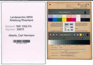 Entnazifizierung Carl Hermann Alberts, geb. 18.07.1903 (Haendler)