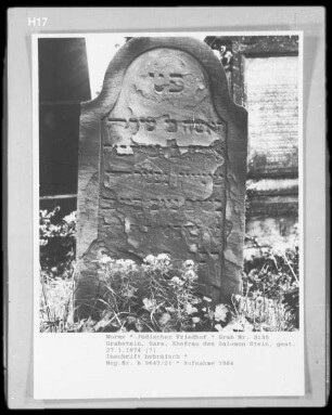Grabstein von Sara, Ehefrau des Salomon Stein (gestorben 1874.01.27)