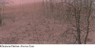 Winterlandschaft