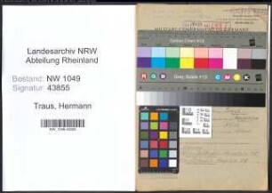 Entnazifizierung Hermann Traus , geb. 18.05.1903 (Betriebsleiter)