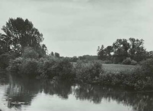 Auenlandschaft an der Elster bei Quasnitz