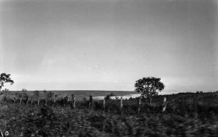Landschaft : Landschaftsaufnahme.