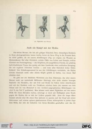 Auch ein Kampf mit der Hydra