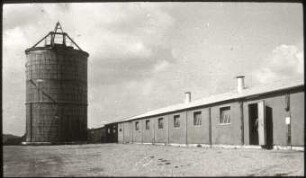 Hamra-Hof der Firma Alfa-Laval, Tumba bei Stockholm, Laufstall für Kühe