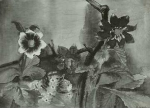 Herbstblumen