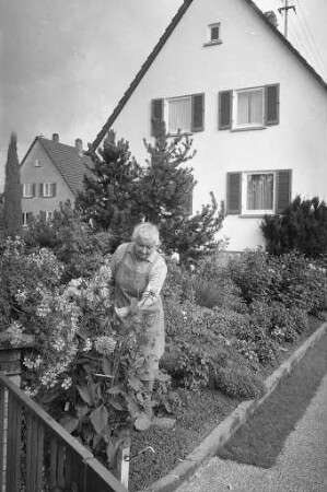 Lobende Anerkennung für die Siedlergemeinschaft Hohenwettersbach im bundesweiten Wettbewerb 1972 um die beste Kleinsiedlung