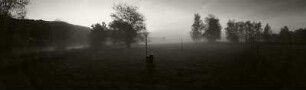 Morgen #06