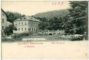 Gießhübl-Sauerbrunn. Hotel Kronprinz