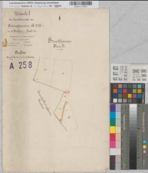 Assinghausen (Olsberg), Separation Assinghausen, Bl.10 Brouillonkarte I Gem. Bruchhausen, Flur 9