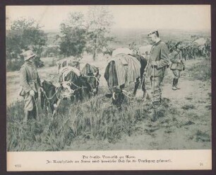 Der deutsche Vormarsch zur Marne. Im Kampfgebiet um Fismes wird herrenloses Vieh für die Verpflegung gesammelt.