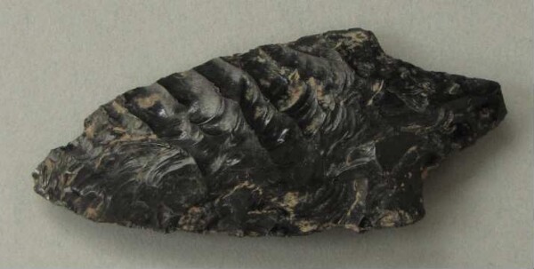 Obsidian tip