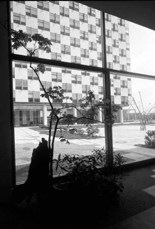 Berlin: Hiltonhotel; Außenfassade durch Hallenfenster und Palmen