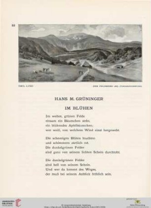 3: Im Blühen
