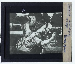 da Vinci, Verkündigung (Florenz Uffizien 00285888) : Erzengel Gabriel