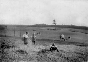 Kinder beim Kühe hüten