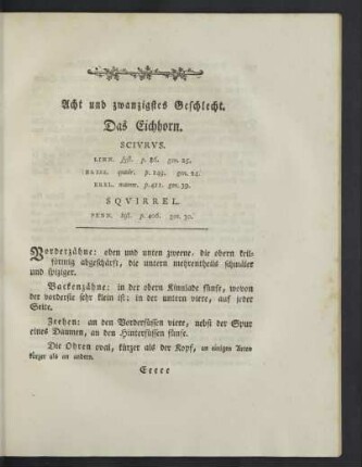 Acht und zwanzigstes Geschlecht.