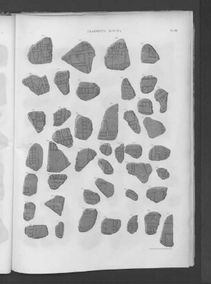 Fragmenta Minora.