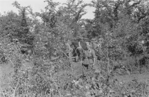 Zweiter Weltkrieg. Frontbilder. Sowjetunion. Angehöriger der deutschen Wehrmacht