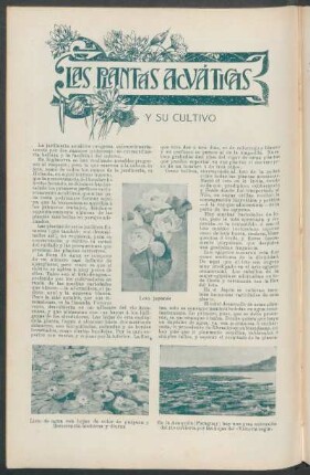 Las plantas acuáticas y su cultivo