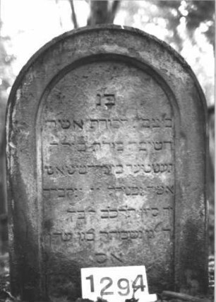 Grabstein 1294 (Index: 99900147) Material: Sandstein Zustand: stark verwittert Maße HxBxT: 88x60x14 cm Beschreibung: Stele mit Rundbogenabschluss: Grabstein 1294