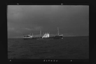 Catherine Sartori (1954), Frachtschiff, Sartori & Berger, Kiel, Bau-Nr. 570