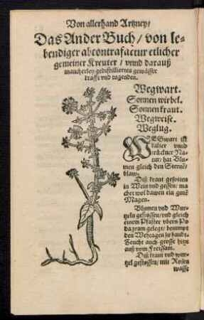 Das Ander Buch/ von lebendiger abcontrafactur etlicher gemeiner Kreuter/ unnd darauß mancherley gedistiliierten gewässer krafft und tugenden.