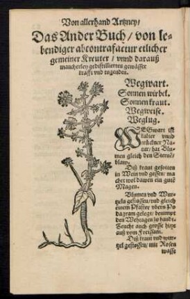 Das Ander Buch/ von lebendiger abcontrafactur etlicher gemeiner Kreuter/ unnd darauß mancherley gedistiliierten gewässer krafft und tugenden.
