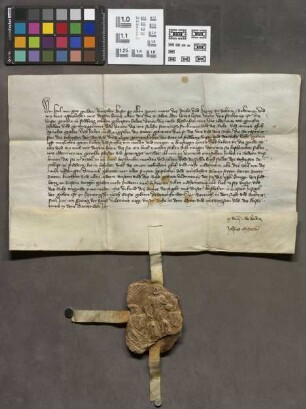 Friedberg: Kaiser Karls IV. Privileg über das Gerichtsbuch
