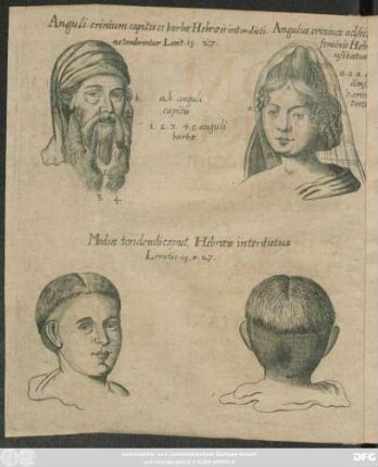 Comam Hebraeorum licitam & interdictam, ad illustranda commata, Levit. XIX. vers. 27. aliaque Praeside Theodoro Dassovio ... amicae sententiarum collationi sistit Christianus Alten-Eck/ Holmia-Suecus, In Auditorio Maiori, Ad d. XXI. Aug. MDCXCV.