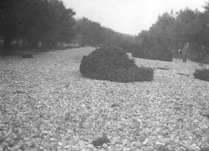 Geröllstrandwall, Schmale Heide auf Rügen : Geographie | Morphologie des norddeutschen Tieflandes