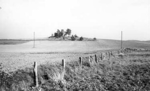 Waldhufen-Nieder Seifersdorf. Blick auf den Windmühlenberg