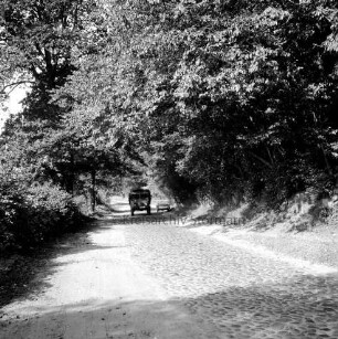 Möllner Landstraße mit Kopfsteinpflaster: hinten Mitte Lkw und parkender Pkw: dahinter Wald