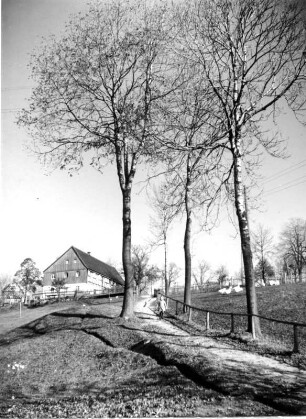Schönfeld (Thermalbad Wiesenbad-Schönfeld). Ortsteilansicht mit Wohnhaus (Gehöft ?)