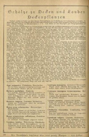 Gehölze zu Hecken und Lauben. Heckenpflanzen