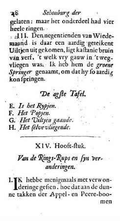 XIV. Hooft-stuk. Van de Rings-Rups en syn veranderingen