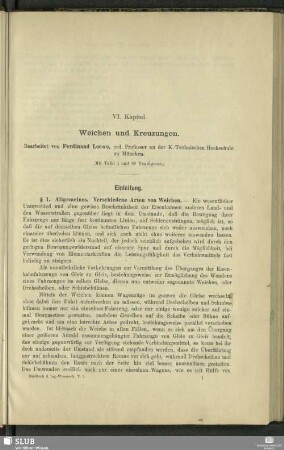 VI. Kapitel. Weichen und Kreuzungen