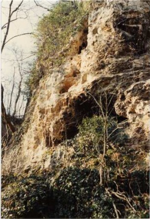 Am Ölberg