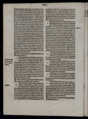Libro octavo